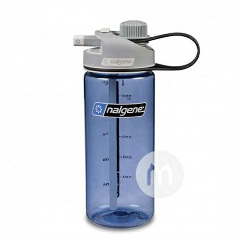 Nalgene 美國樂基因便攜吸管杯650ml 海外本土原版